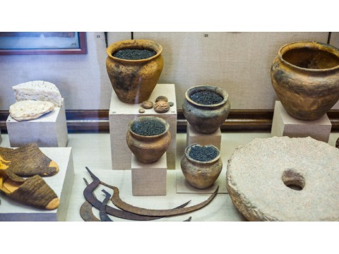 Ученые узнали вкусовые предпочтения древних людей благодаря посуде